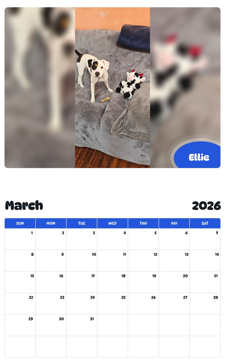 November 2025 - October 2026 Ellie - Pawidols Pet Calendar