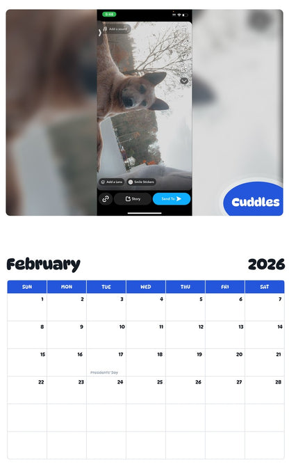 November 2025 - October 2026 Cuddles - Pawidols Pet Calendar