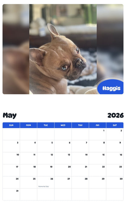 2026 - 2027 Haggis - Pawidols Pet Calendar