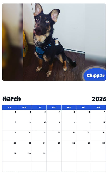 November 2025 - October 2026 Chipper - Pawidols Pet Calendar