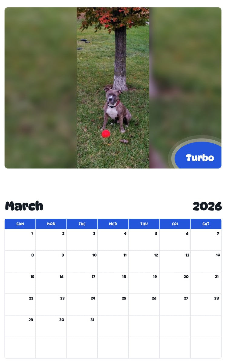 November 2025 - October 2026 Turbo - Pawidols Pet Calendar