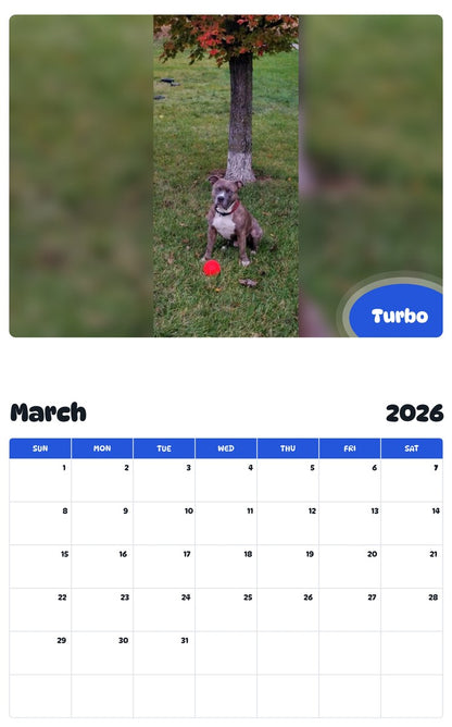 November 2025 - October 2026 Turbo - Pawidols Pet Calendar