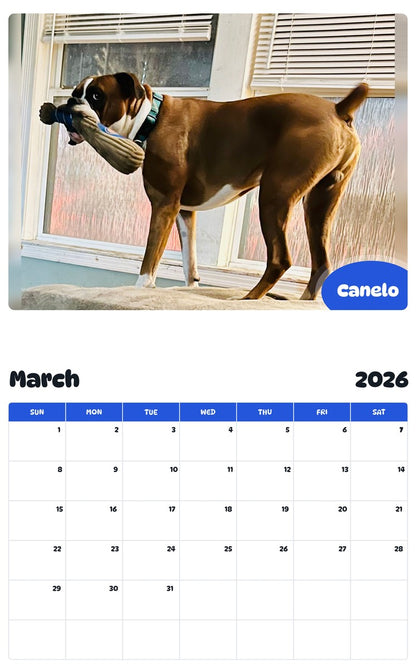 November 2025 - October 2026 Canelo - Pawidols Pet Calendar