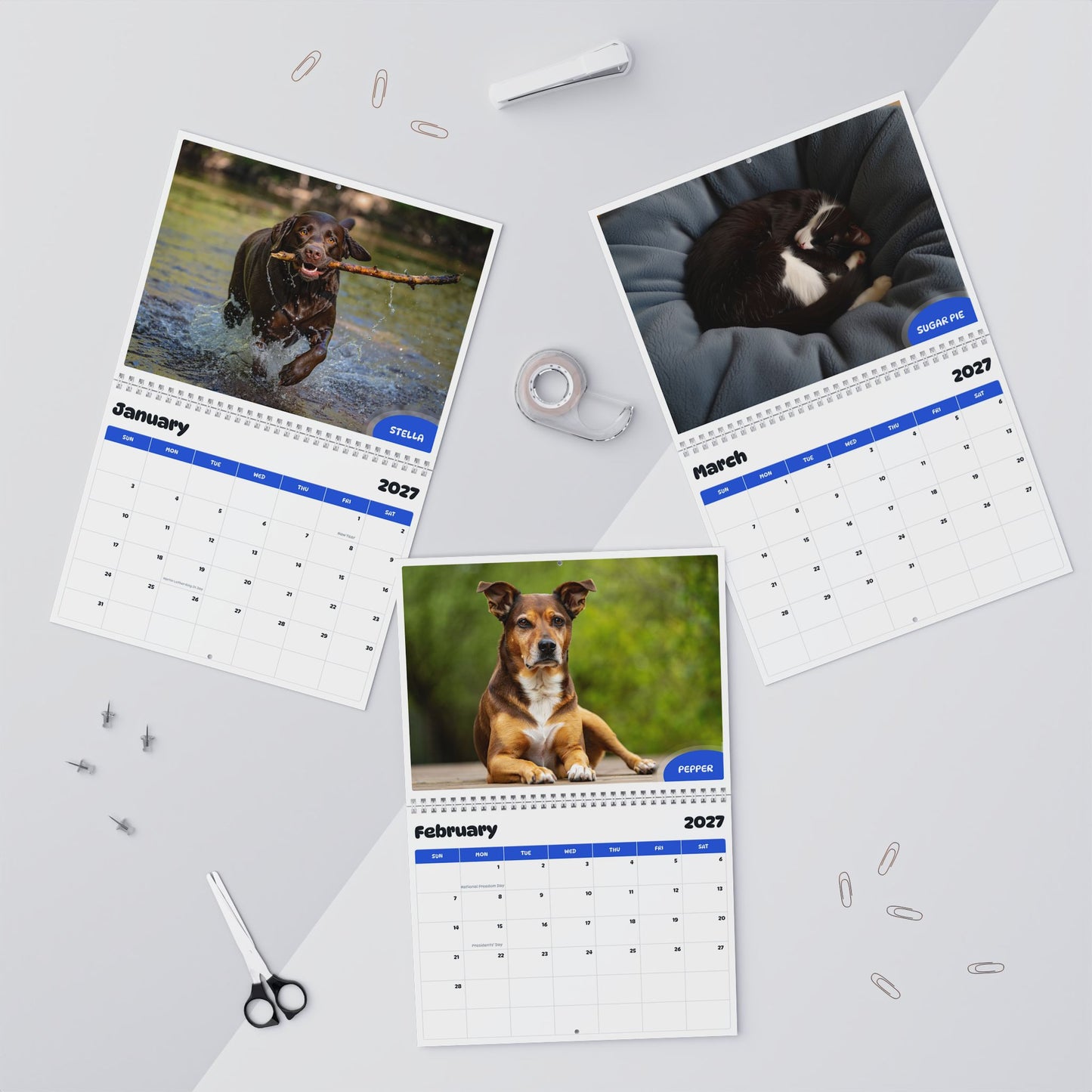 Paw Calendar MIX July 2026 - June 2027