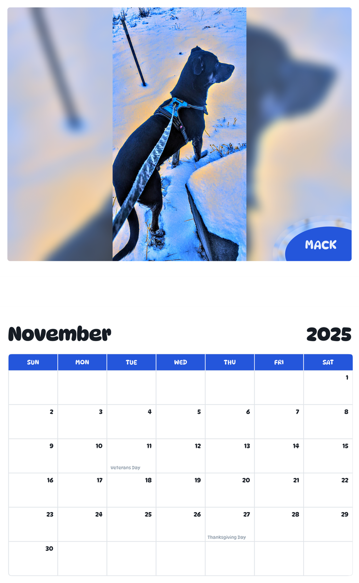 July 2025 - June 2026 Mack - Pawidols Pet Calendar