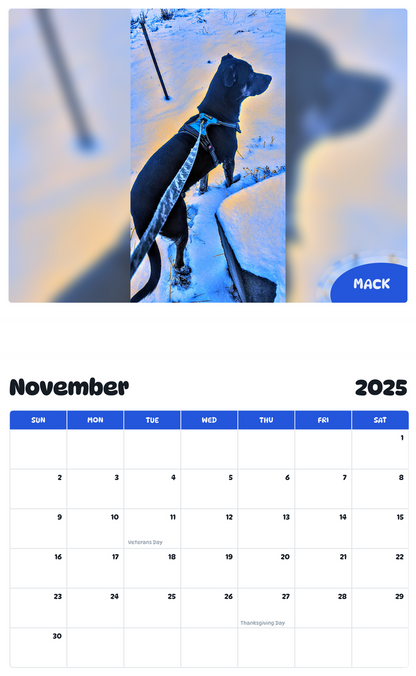 July 2025 - June 2026 Mack - Pawidols Pet Calendar