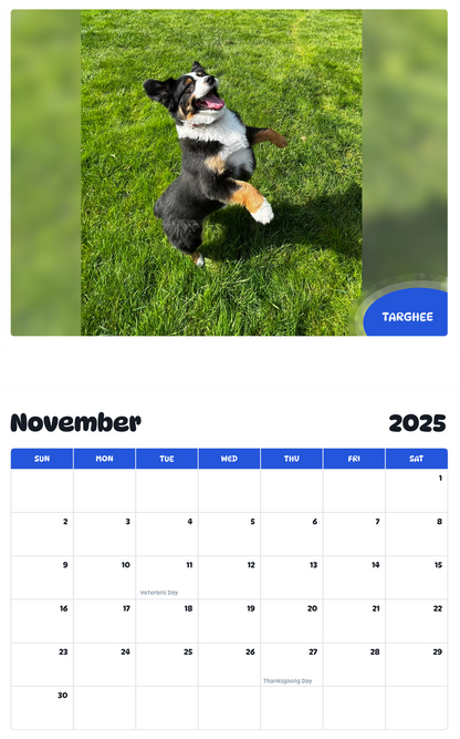 July 2025 - June 2026 Targhee - Pawidols Pet Calendar