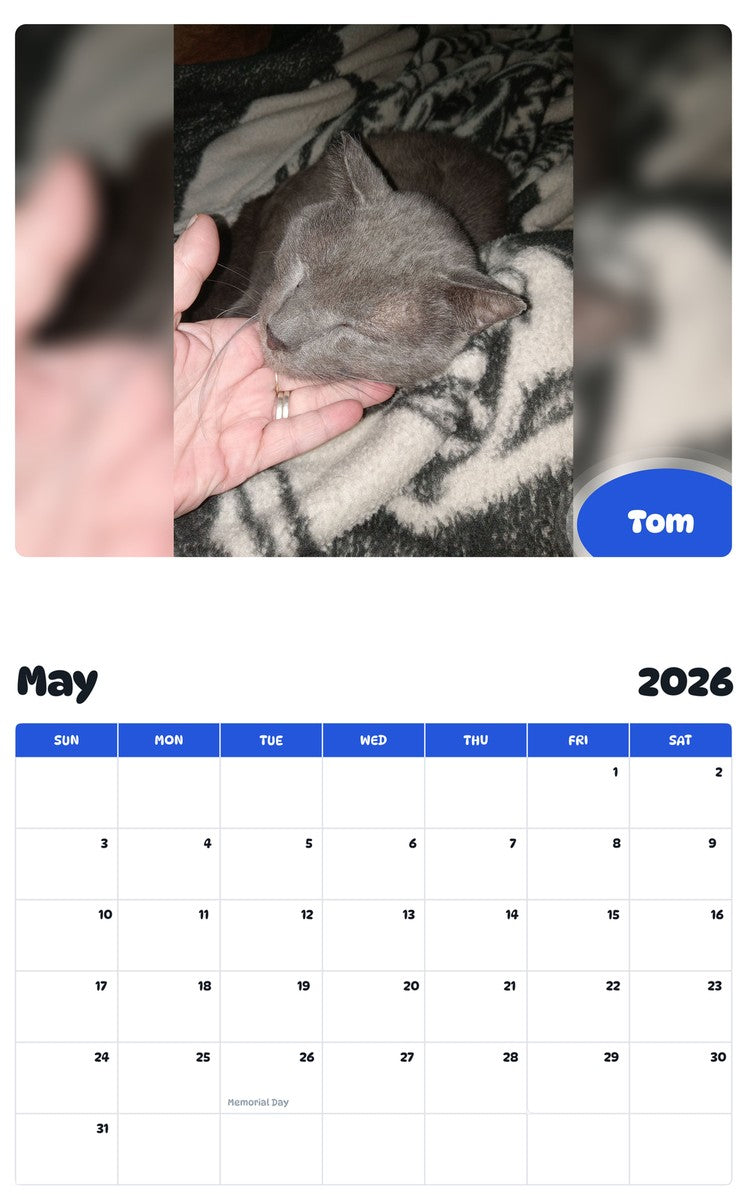 2026 - 2027 Tom - Pawidols Pet Calendar