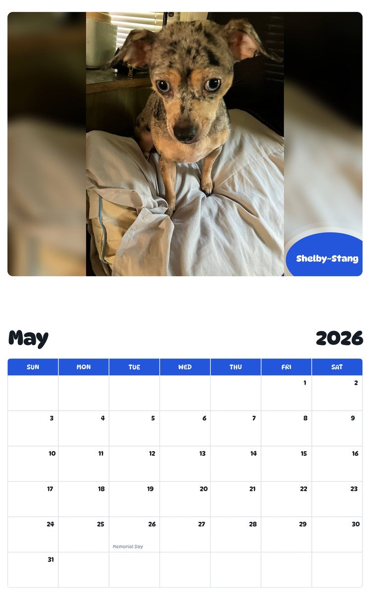 2026 - 2027 Shelby~Stang - Pawidols Pet Calendar