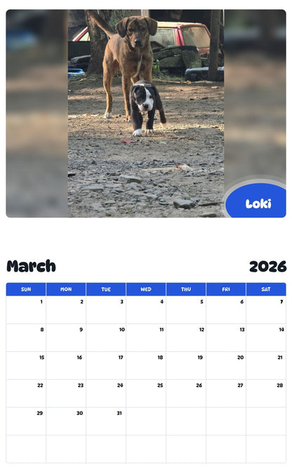 November 2025 - October 2026 Loki - Pawidols Pet Calendar