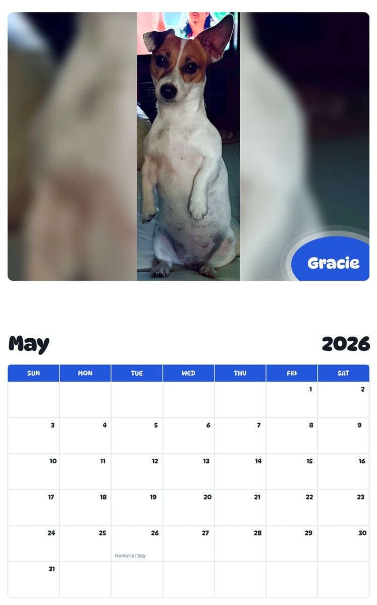 2026 - 2027 Gracie - Pawidols Pet Calendar