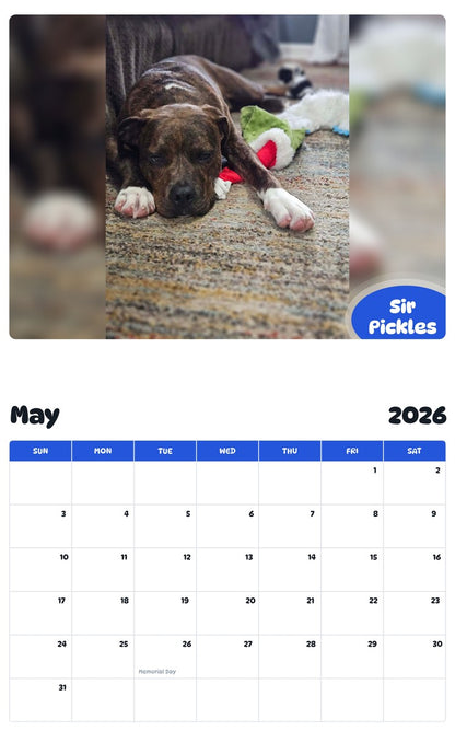 2026 - 2027 Sir Pickles - Pawidols Pet Calendar