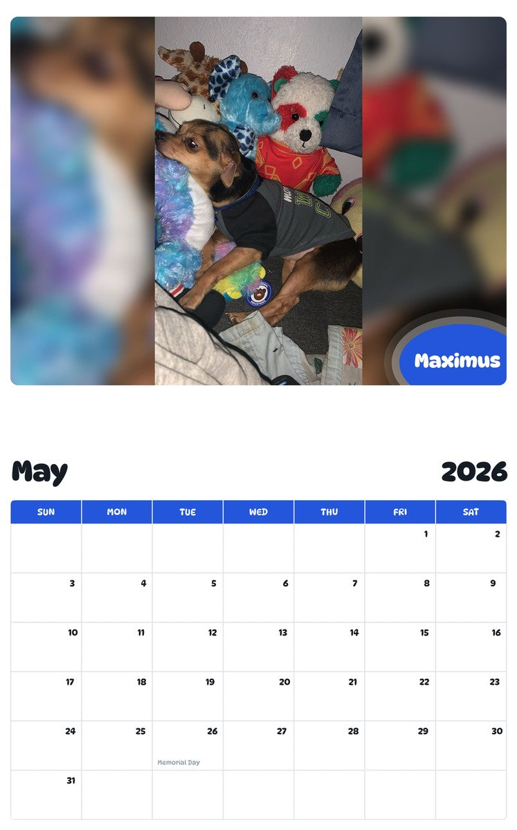 2026 - 2027 Maximus - Pawidols Pet Calendar