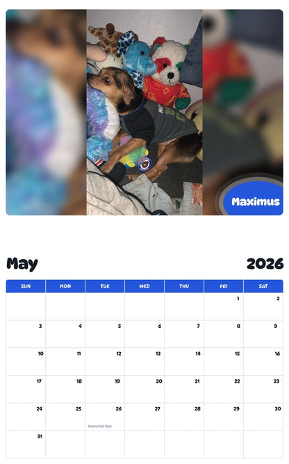 2026 - 2027 Maximus - Pawidols Pet Calendar