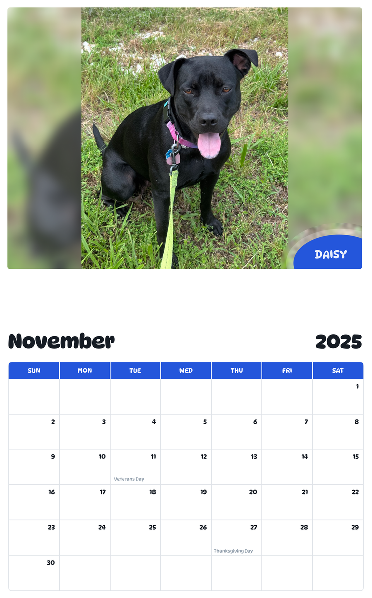 July 2025 - June 2026 Daisy - Pawidols Pet Calendar