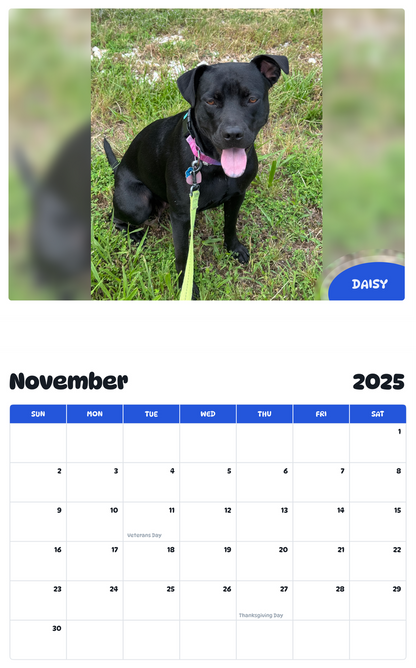 July 2025 - June 2026 Daisy - Pawidols Pet Calendar
