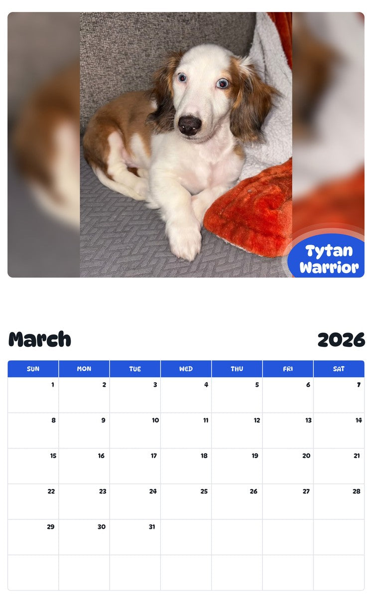 November 2025 - October 2026 Tytan Warrior - Pawidols Pet Calendar