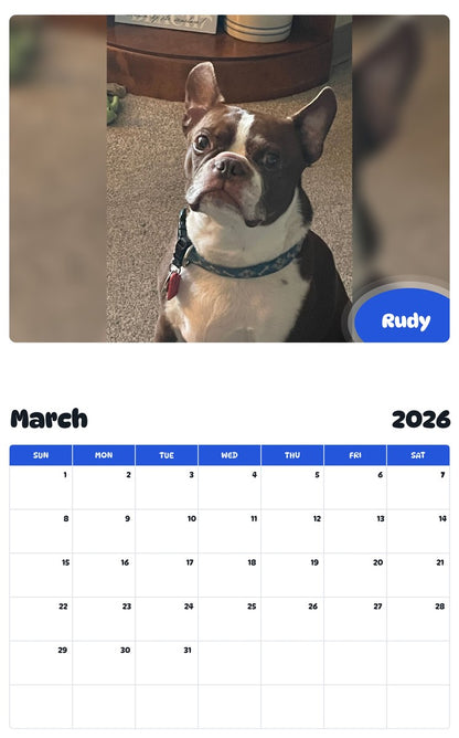 November 2025 - October 2026 Rudy - Pawidols Pet Calendar