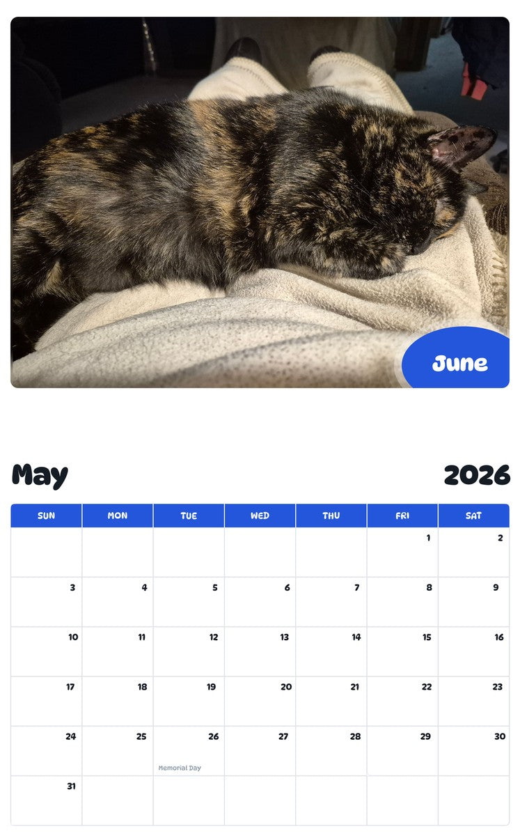 2026 - 2027 June - Pawidols Pet Calendar