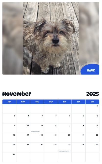 July 2025 - June 2026 Hank - Pawidols Pet Calendar
