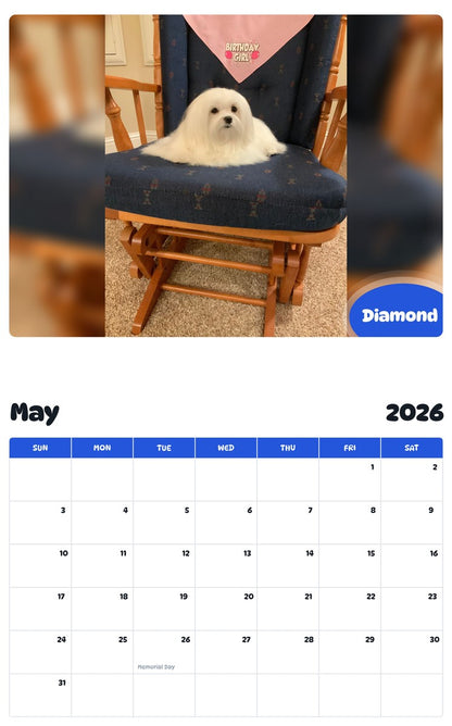 2026 - 2027 Diamond - Pawidols Pet Calendar
