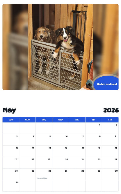 2026 - 2027 Hatch and Levi - Pawidols Pet Calendar