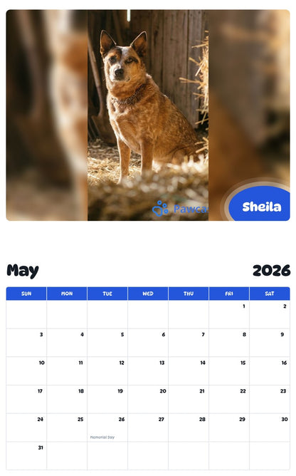 2026 - 2027 Sheila - Pawidols Pet Calendar