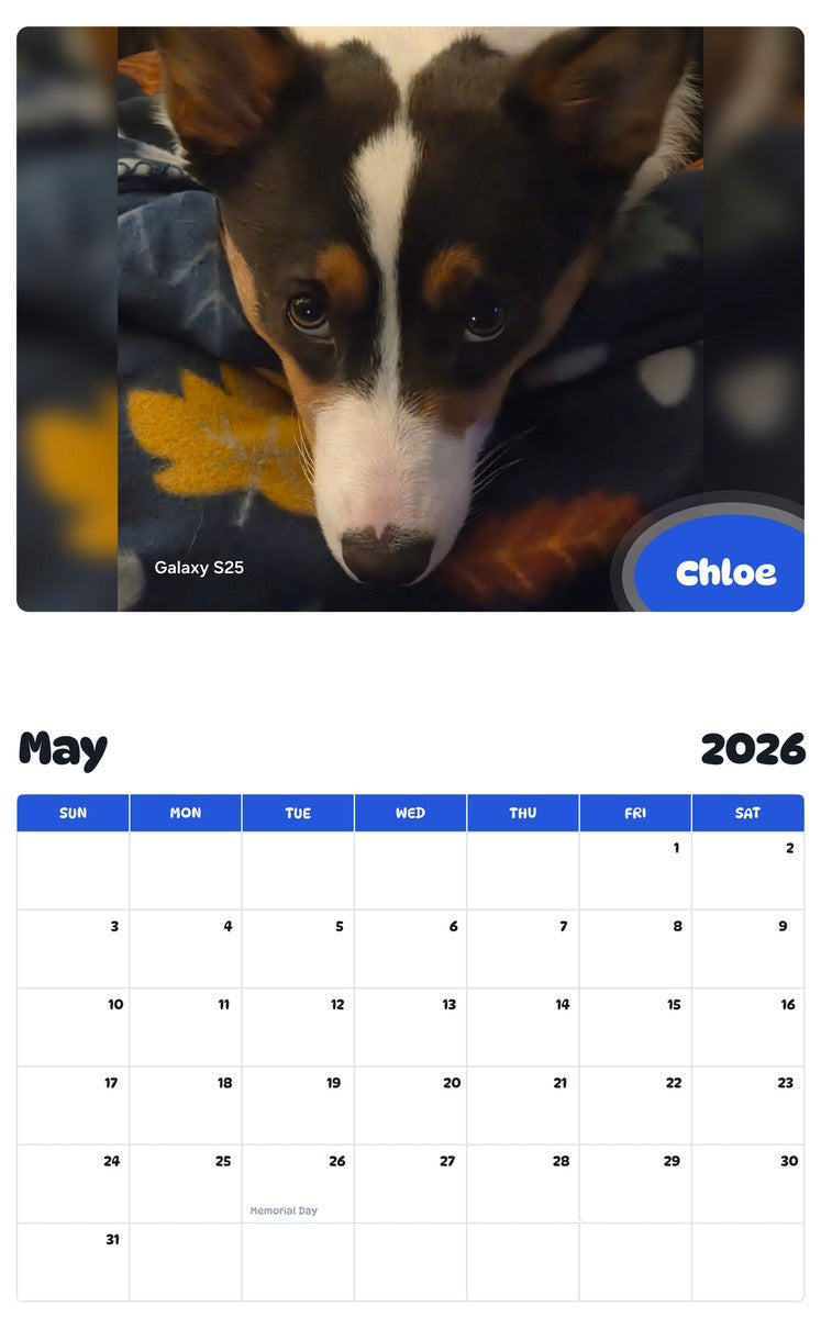 2026 - 2027 Chloe - Pawidols Pet Calendar