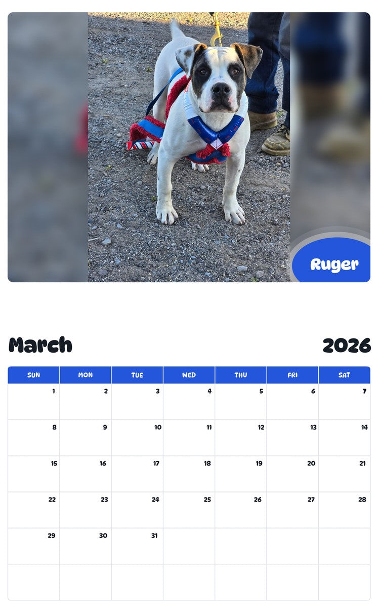 November 2025 - October 2026 Ruger - Pawidols Pet Calendar