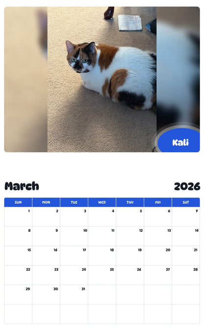November 2025 - October 2026 Kali - Pawidols Pet Calendar