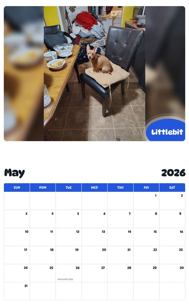2026 - 2027 Littlebit - Pawidols Pet Calendar