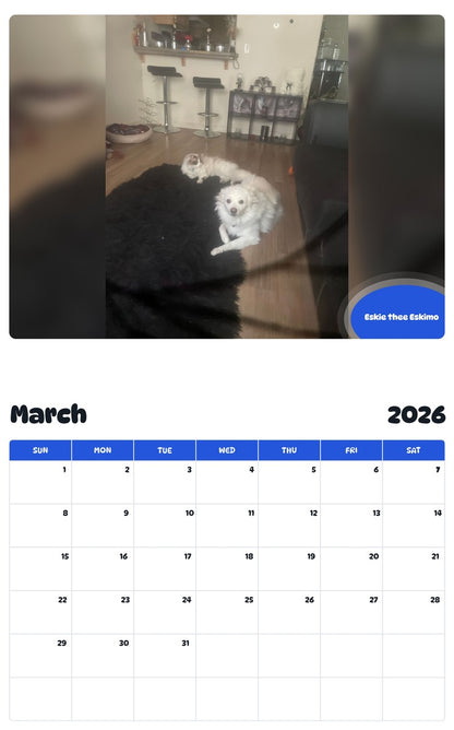 November 2025 - October 2026 Eskie thee Eskimo - Pawidols Pet Calendar