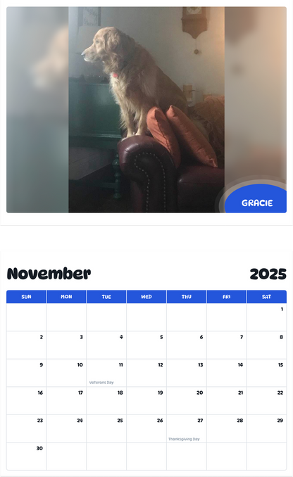 July 2025 - June 2026 Gracie - Pawidols Pet Calendar