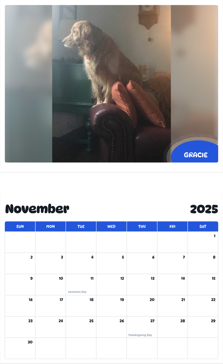 July 2025 - June 2026 Gracie - Pawidols Pet Calendar