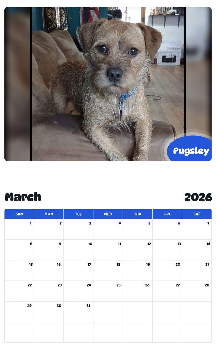 November 2025 - October 2026 Pugsley - Pawidols Pet Calendar