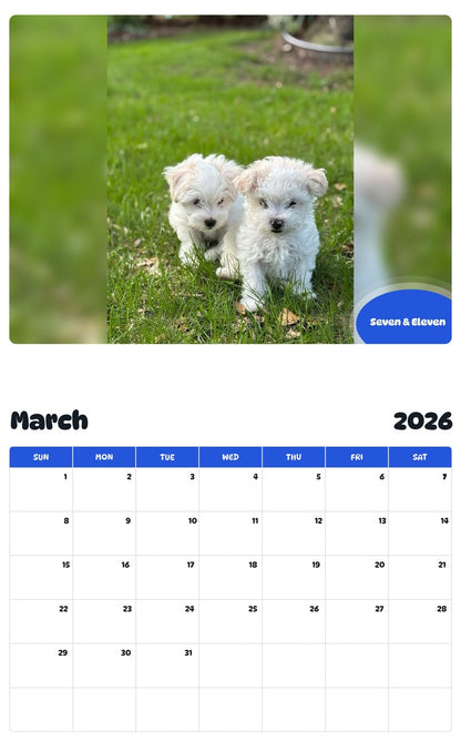 November 2025 - October 2026 Seven & Eleven - Pawidols Pet Calendar