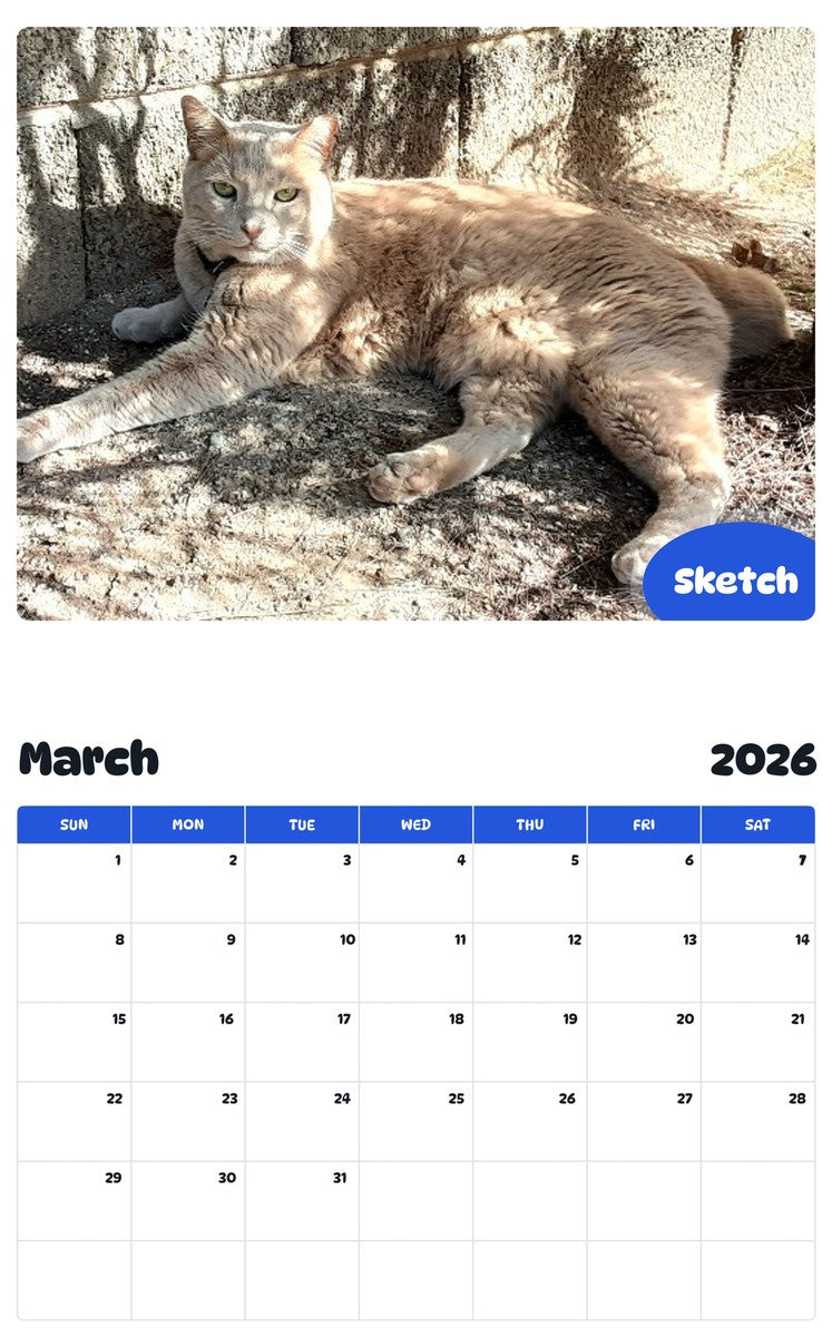 November 2025 - October 2026 Sketch - Pawidols Pet Calendar