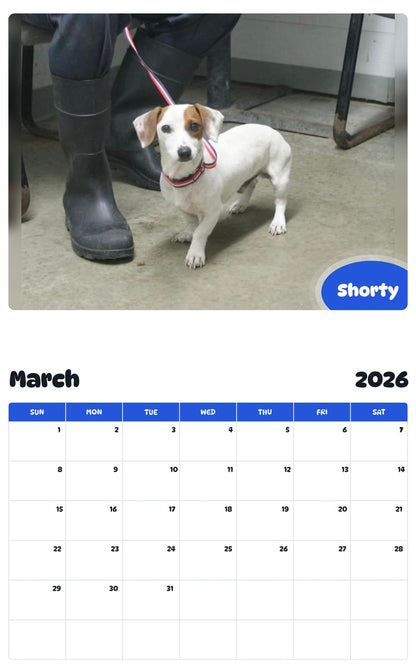 November 2025 - October 2026 Shorty - Pawidols Pet Calendar
