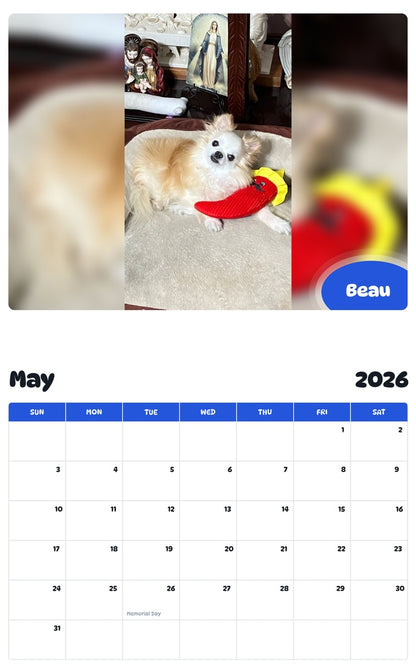 2026 - 2027 Beau - Pawidols Pet Calendar