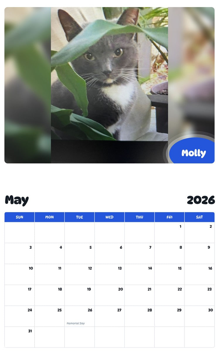 2026 - 2027 Molly - Pawidols Pet Calendar