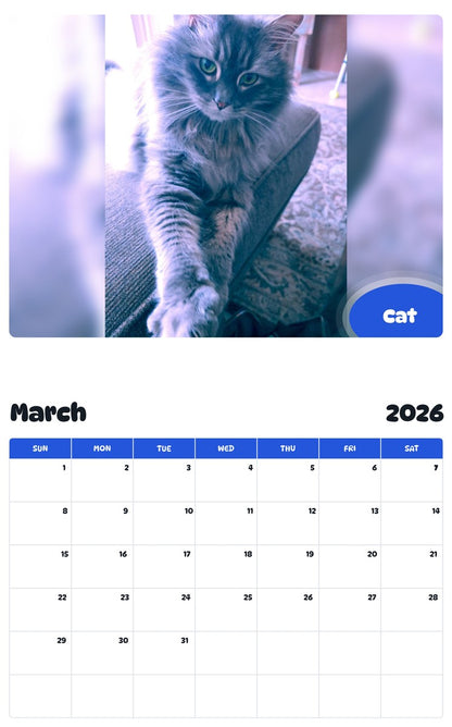 November 2025 - October 2026 Cat - Pawidols Pet Calendar