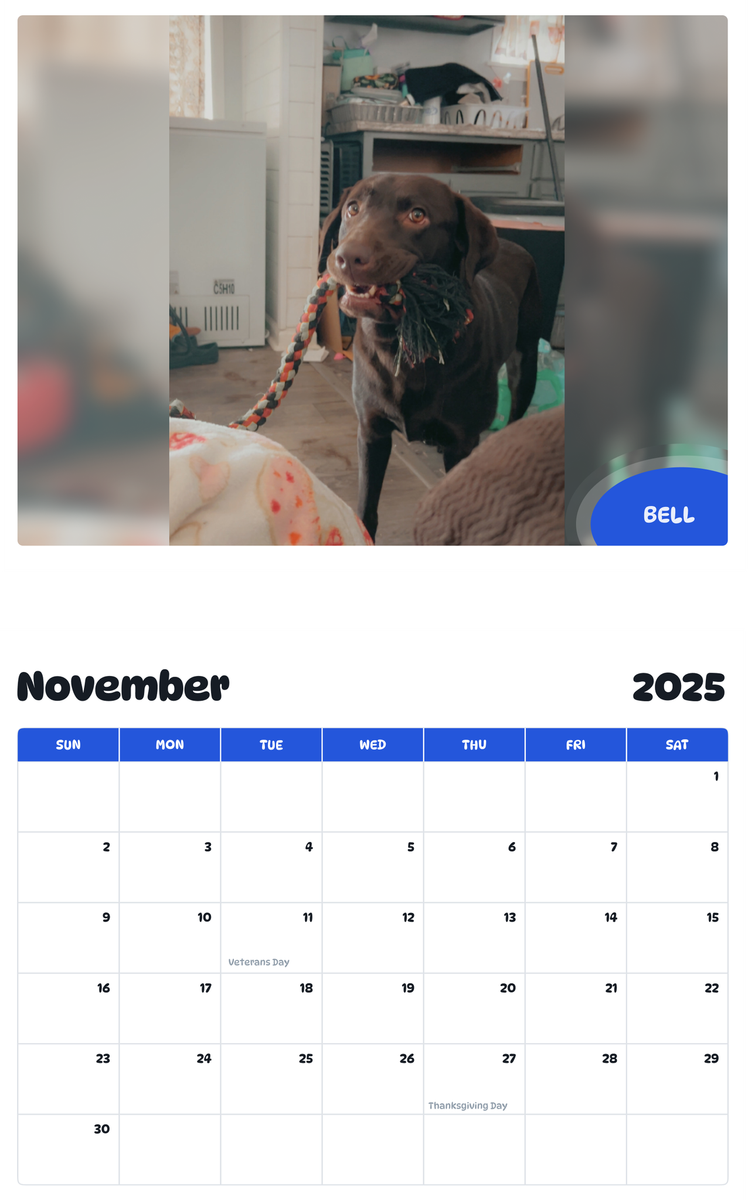 July 2025 - June 2026 Bell - Pawidols Pet Calendar