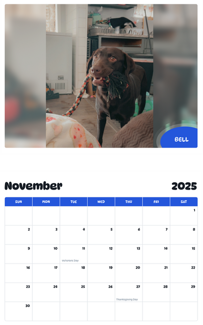 July 2025 - June 2026 Bell - Pawidols Pet Calendar