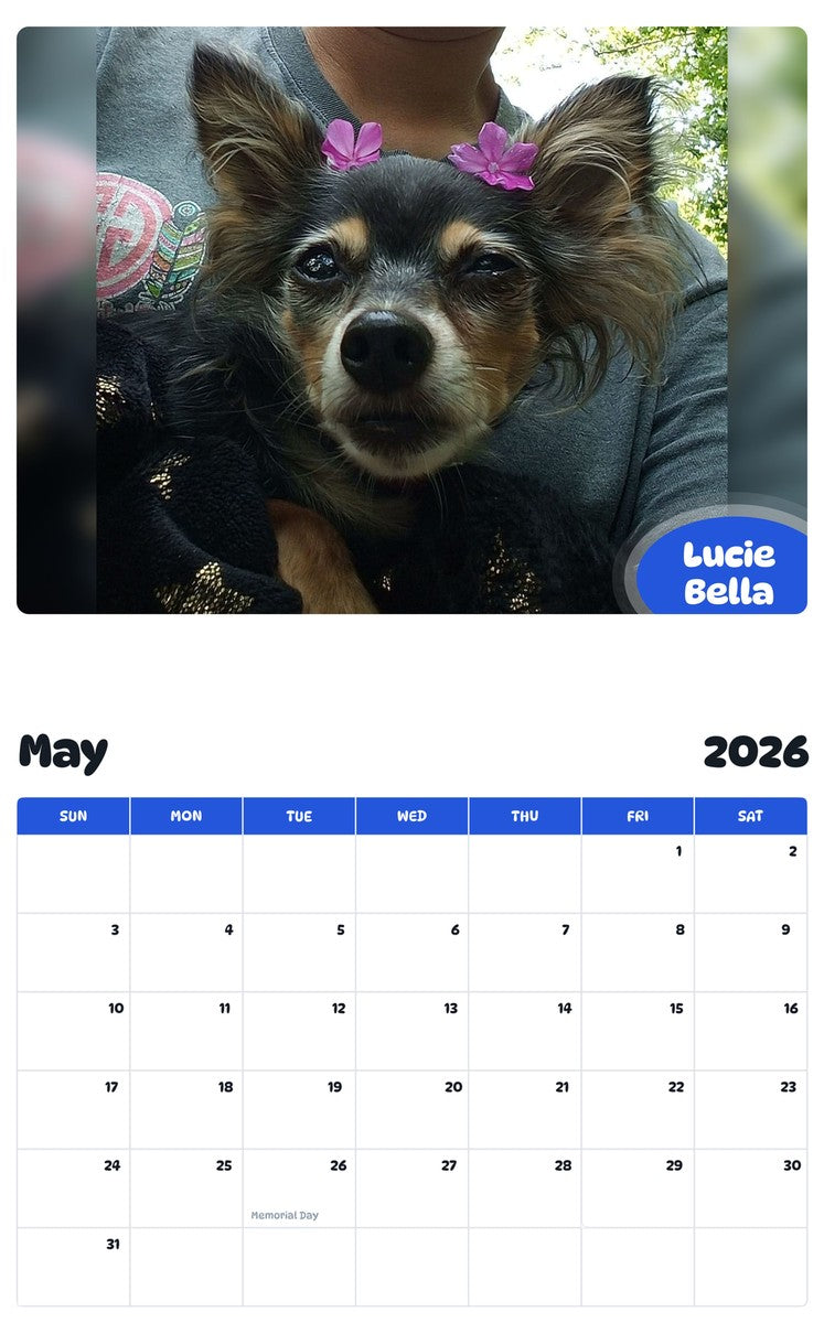 2026 - 2027 Lucie Bella - Pawidols Pet Calendar
