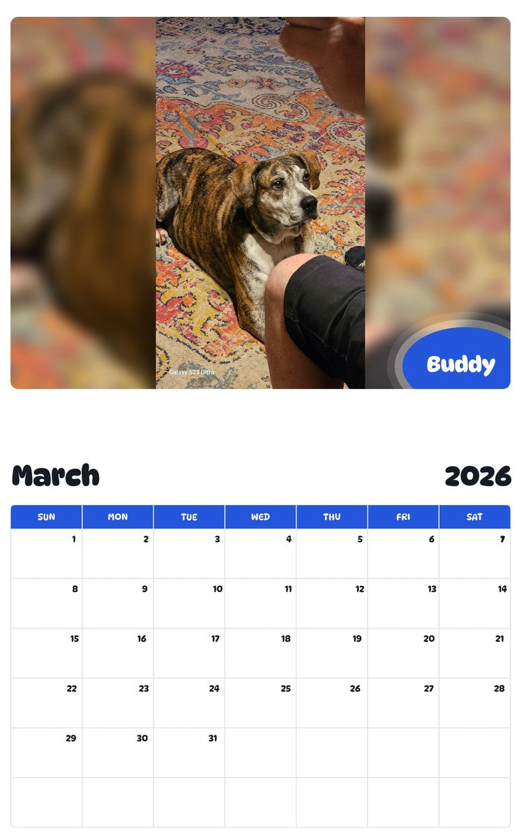 November 2025 - October 2026 Buddy - Pawidols Pet Calendar