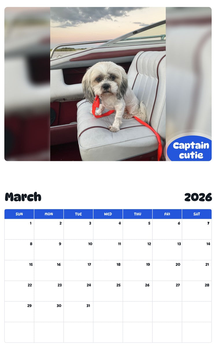November 2025 - October 2026 Captain cutie - Pawidols Pet Calendar