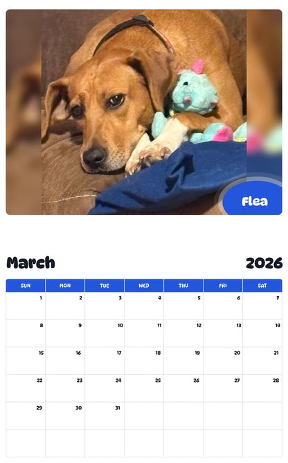 November 2025 - October 2026 Flea - Pawidols Pet Calendar