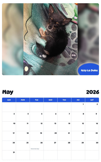 2026 - 2027 Izzy La Duke - Pawidols Pet Calendar