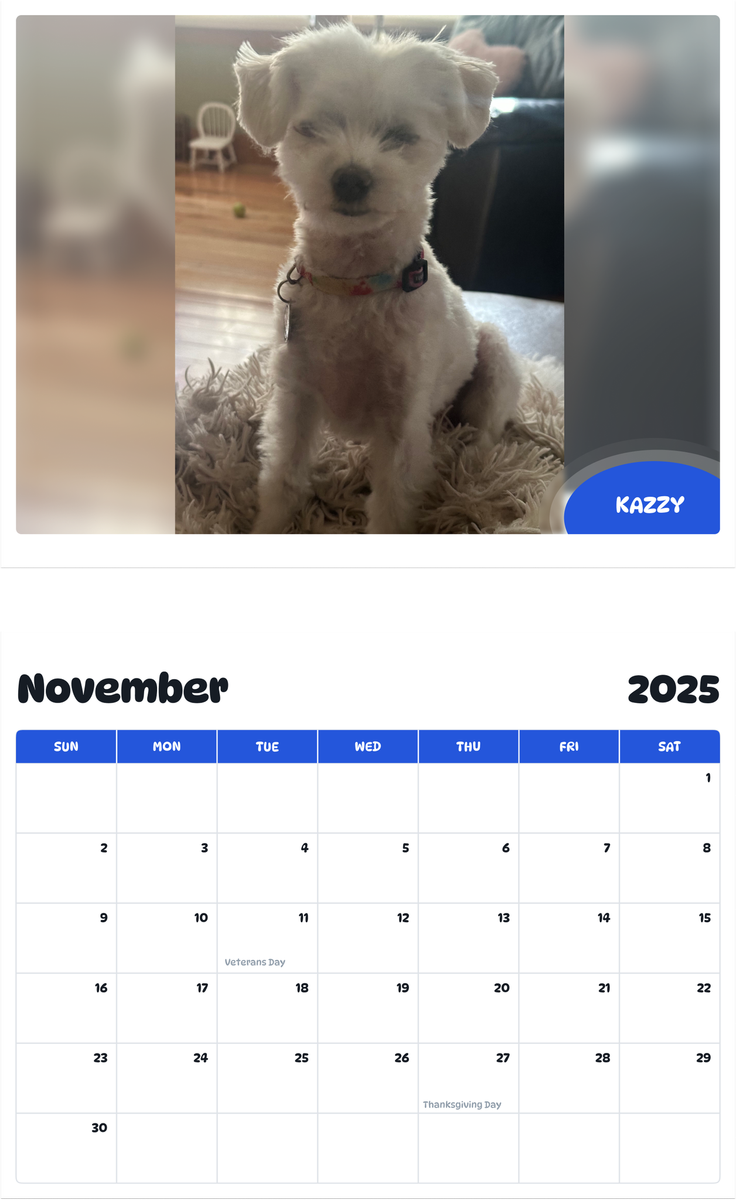 July 2025 - June 2026 Kazzy - Pawidols Pet Calendar