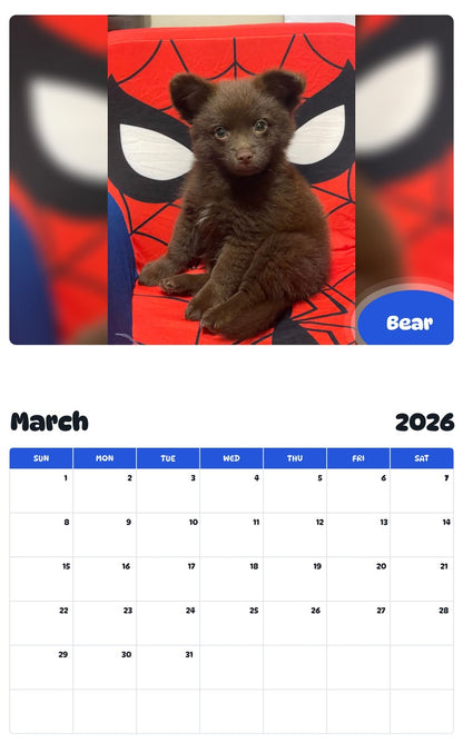 November 2025 - October 2026 Bear - Pawidols Pet Calendar